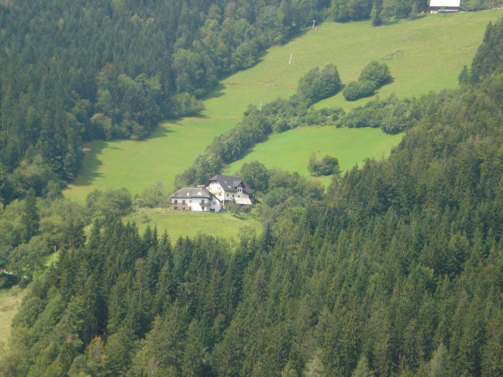 Bauernhof Hisa Pecovnik *