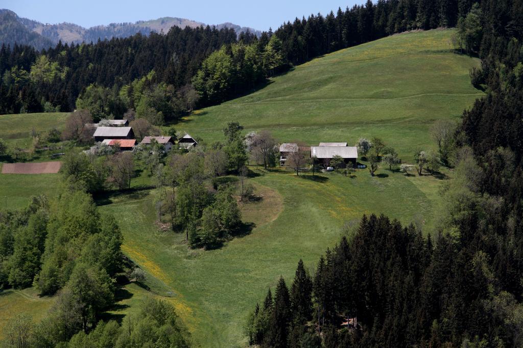 Bauernhof Hisa Pecovnik Luče